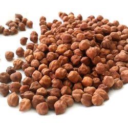 חומוס שחור 1 ק"ג Kala Chana אינדיאן סטור