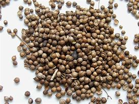 זרעי כוסברה 100 גרם Coriander seeds אינדיאן סטור