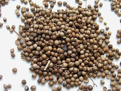 זרעי כוסברה 100 גרם Coriander seeds