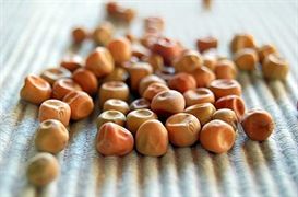 אפונה עטר 1 ק"ג Peas אינדיאן סטור