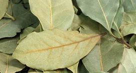 עלי דפנה 50 גרם Bay leaves אינדיאן סטור