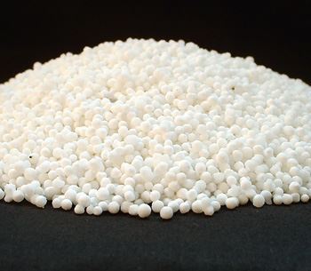פניני טפיוקה 1 ק"ג Tapioca Pearls