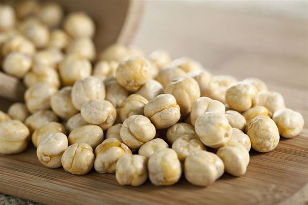 חומוס מקסיקני גדול Big Mexican chickpea