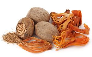 מאשיה 50 גרם Jaipatruri"- Nutmeg & Mace"