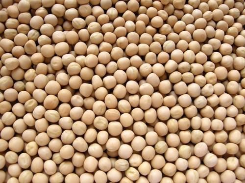 אפונה לבנה 1 ק"ג White Peas